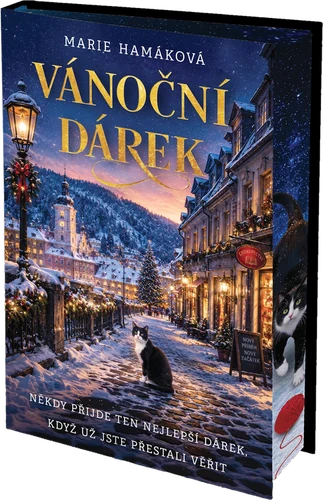 Obálka knihy Vánoční dárek